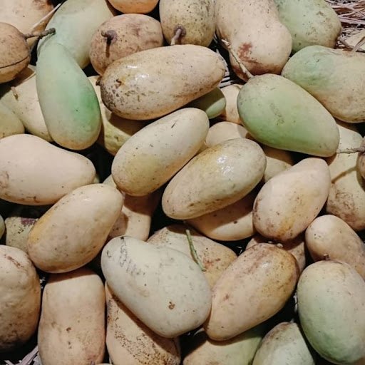 10 কেজি কাঁচামিঠা আম