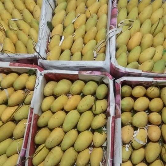 কাটিমন আম