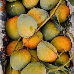 হিমসাগর আম - ১১কেজি